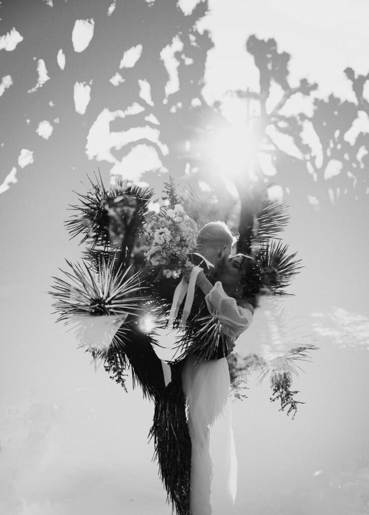 guide to eloping in joshua tree