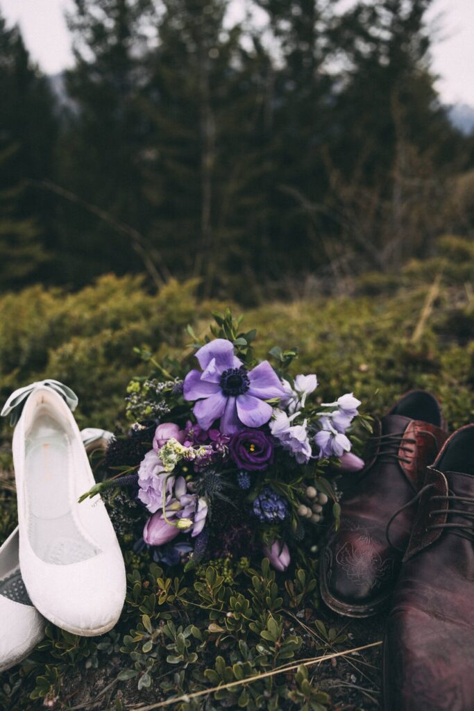 forget me not banff florist