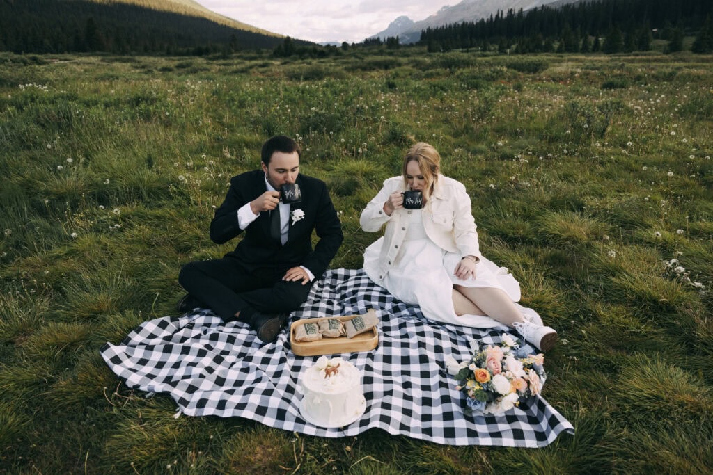 outdoor elopement ideas - picnic