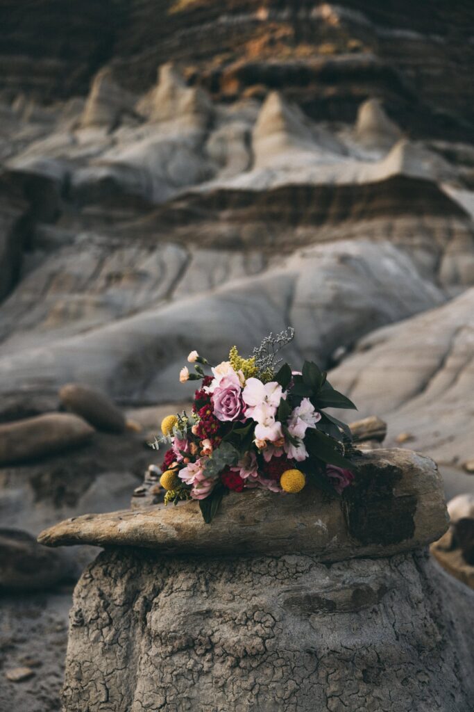 Cake and champagne celebration at Drumheller Hoodoos